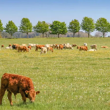 Prázdninový dům Reetdachhaus 26 Auf Usedom