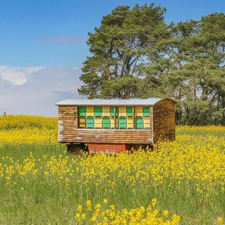 Reetdachhaus 26 Auf Usedom Prázdninový dům *