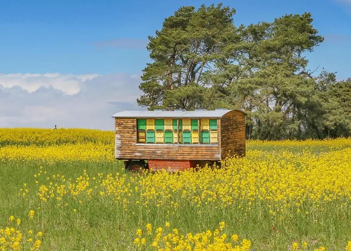 Reetdachhaus 26 Auf Usedom Casa vacanze *